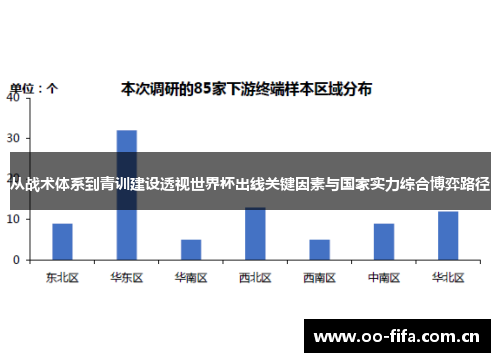 从战术体系到青训建设透视世界杯出线关键因素与国家实力综合博弈路径